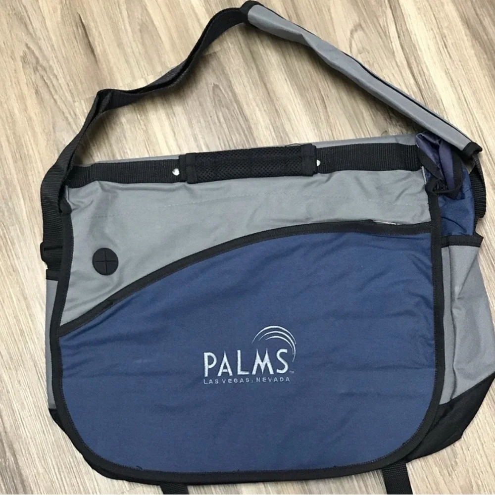 Blue and Gray Men's Messenger Computer Bag